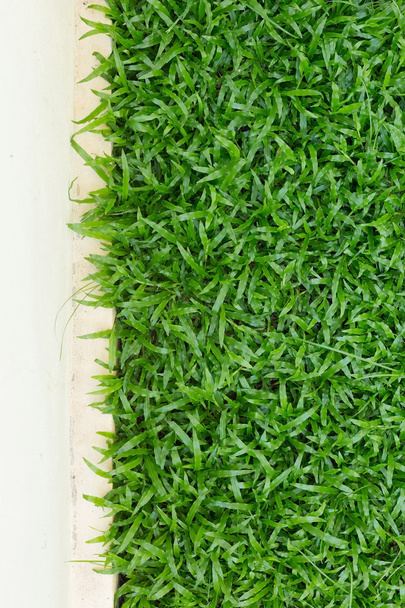 green grass turf - Photo, Image