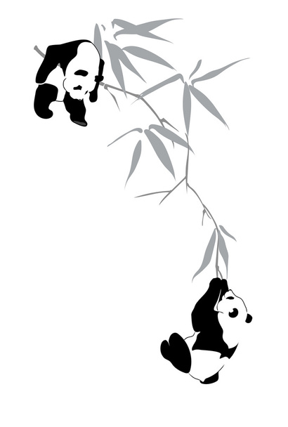 Pandy na gałęzi bambusa - Wektor, obraz