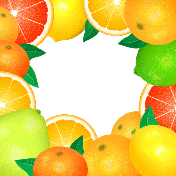 Frame of fresh citrus. Natural bio fruits, healthy organic food. - Vecteur, image