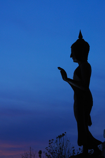 Buda stand isolado no fundo azul
 - Foto, Imagem