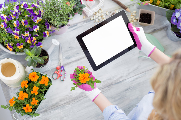 Gardener using tablet  - Foto, Imagen