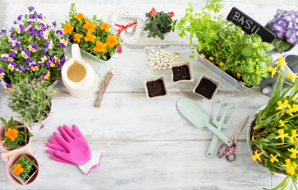 Gardening kit on wooden table - Φωτογραφία, εικόνα
