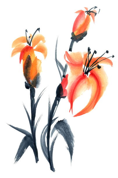Lily. Blumen-Abbildung.. - Foto, Bild