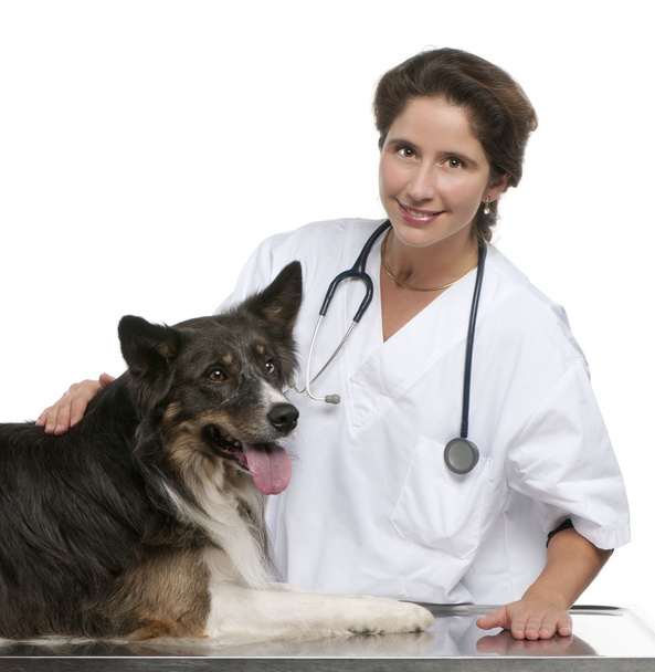 Tierarzt steht neben einem Border Collie vor weißem Hintergrund - Foto, Bild
