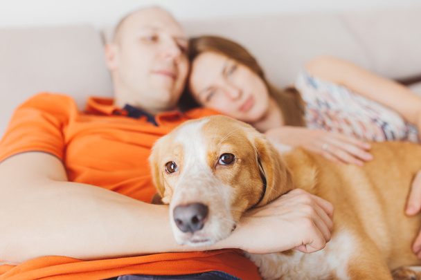 Couple with a dog - Foto, Imagen