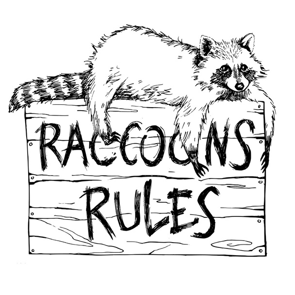 Funny and touching raccoon lies on a plate raccoons rules hand drawn engrave sketch vector illustration - Vector, Image
