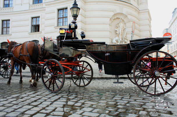 hofburg Sarayı, Viyana, Avusturya, at temelli taşıma - Fotoğraf, Görsel