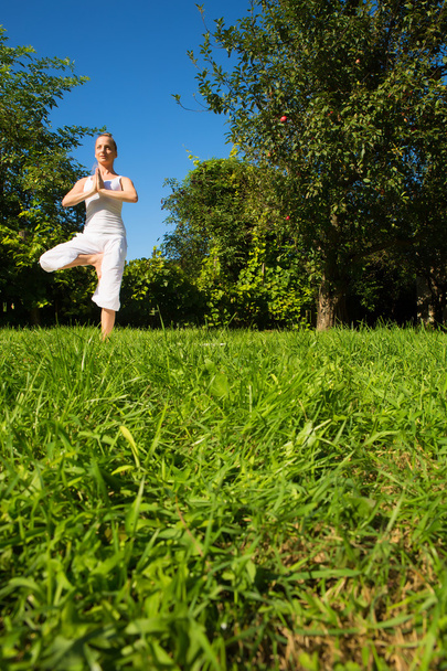 Yoga in the Park	 - Foto, Imagem