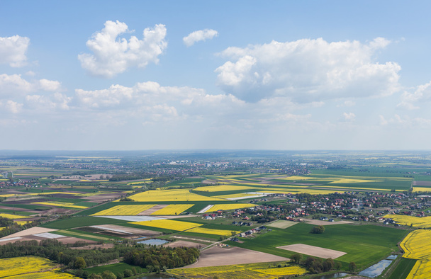 Green harvest fields in Poland - Fotó, kép
