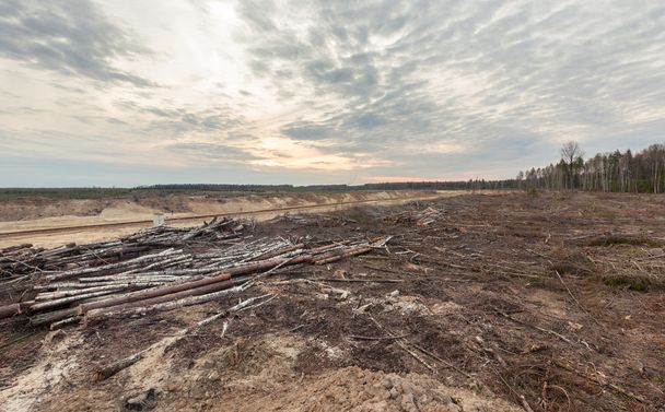 Felling forests near the sand pit. Human impact on the environment. - Photo, Image