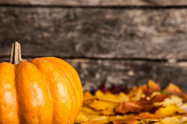 Autumn border with pumpkin - Fotografie, Obrázek