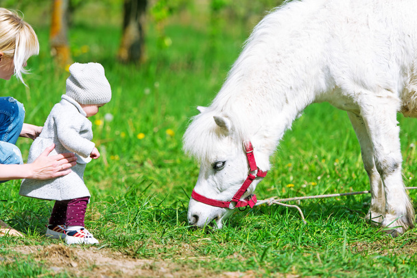 Κοριτσάκι και άσπρο άλογο. - Φωτογραφία, εικόνα