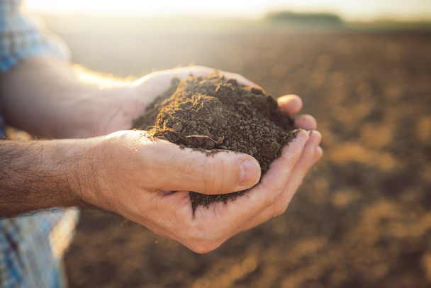 Handful of arable soil in hands of responsible farmer - Valokuva, kuva