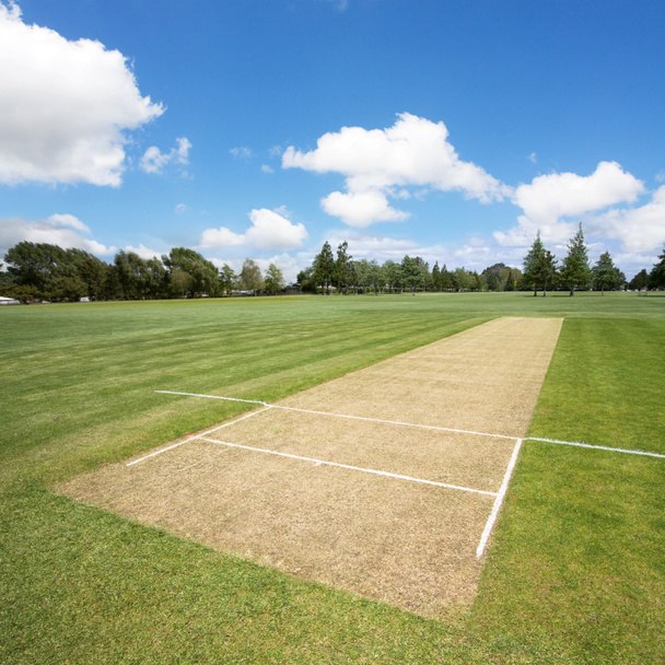 Cricket pitch background - Photo, Image