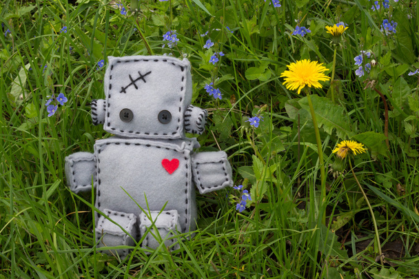 Robota miękka zabawka zielony - Zdjęcie, obraz