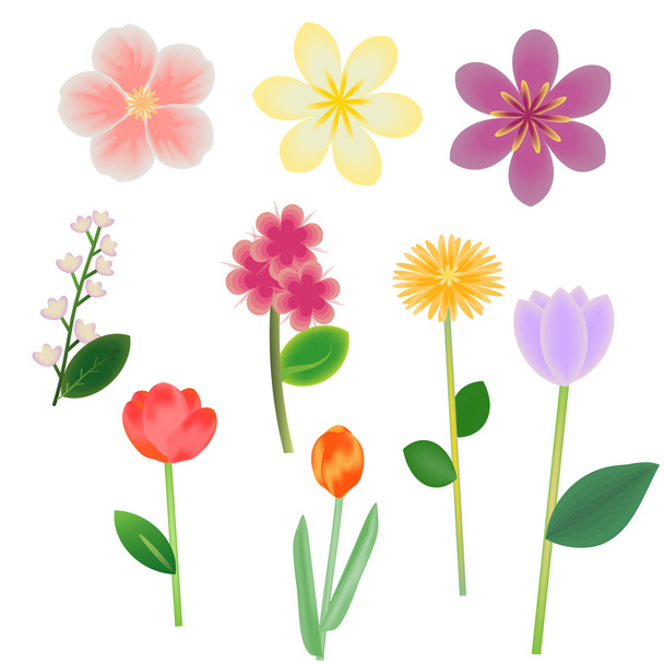 Flores vectoriales - Vector, imagen