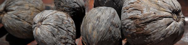 Panorama di vecchie noci di cocco grattugiate
 - Foto, immagini