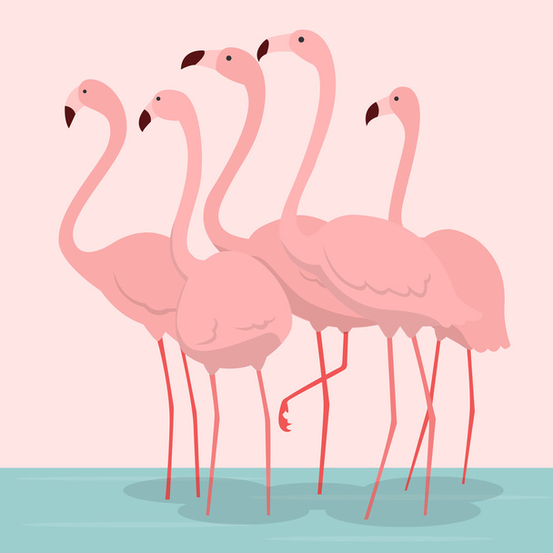 pink flamingos vector illustration - Vector, afbeelding