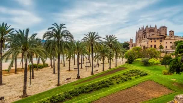 Timelapse 4k: Cathedral of Santa Maria of Palma, more commonly referred to as La Seu, is Gothic Roman Catholic cathedral located in Palma, Majorca, Spain, built on site of a pre-existing Arab mosque. - Footage, Video