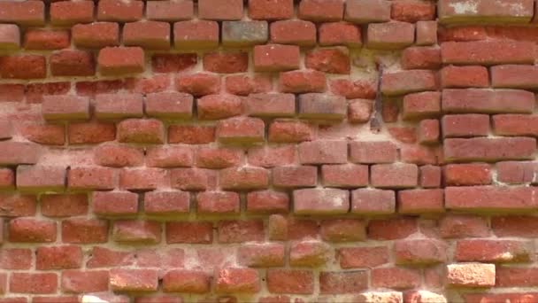 Arrière-plan de vieux mur de briques vintage qui s'effrite par une journée ensoleillée
 - Séquence, vidéo