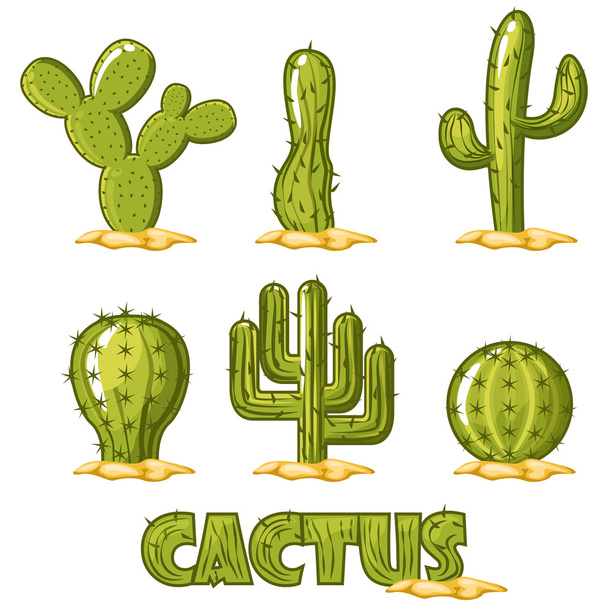 Vektorové kolekce kaktusů - Vektor, obrázek