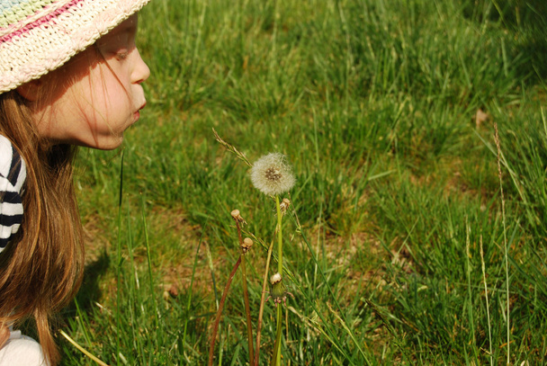 The girl and the dandelion 045 - Photo, Image
