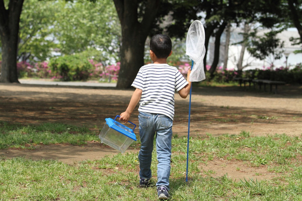 Japanese boy collecting insect (6 years old) - Photo, Image