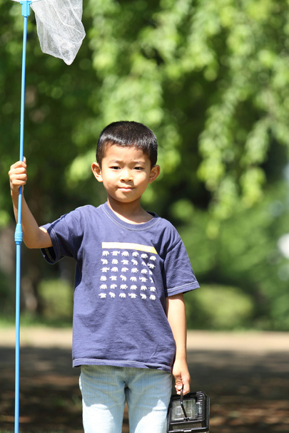 Japonês menino coletando inseto (6 anos
) - Foto, Imagem