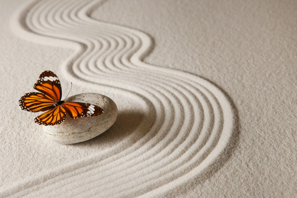Zen πεταλούδα. Άμμο φόντο με ροκ και πεταλούδα - Φωτογραφία, εικόνα