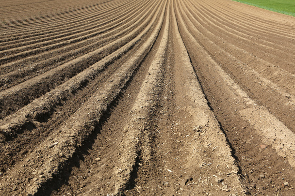 Plowed Soil - Photo, Image