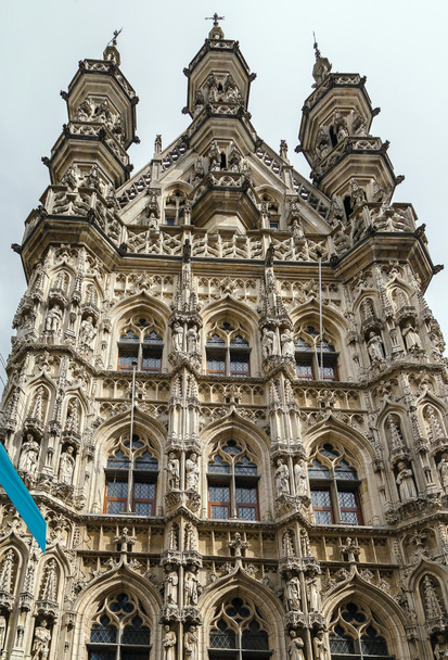 Leuvenin kaupungintalo, Belgia
 - Valokuva, kuva
