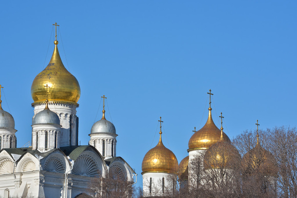 Golden domes of Orthodox churches of the Moscow Kremlin. - Foto, afbeelding