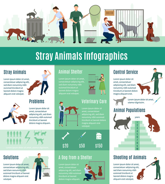 Set de infografías de animales callejeros
 - Vector, imagen