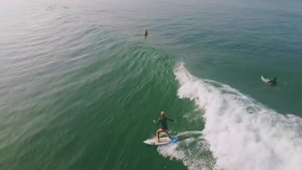 Aerial of girl surfing a wave - Footage, Video