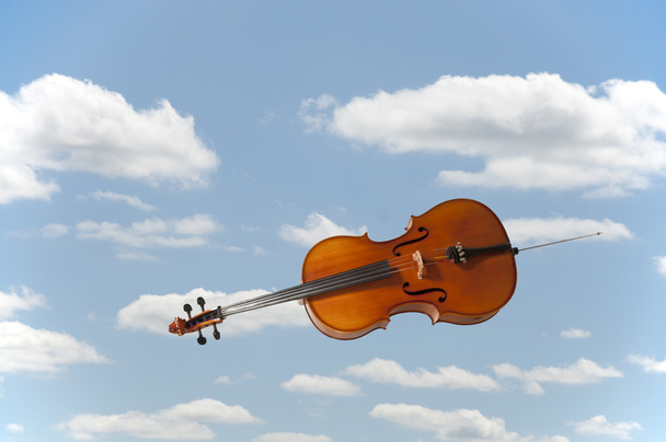 fliegendes Cello - Foto, Bild