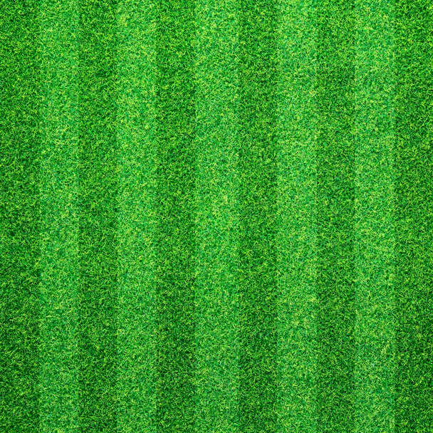 Green grass background - Photo, Image