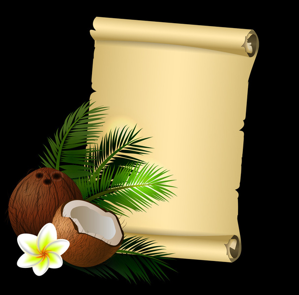 ココナッツの熱帯ナット果実 - ベクター画像