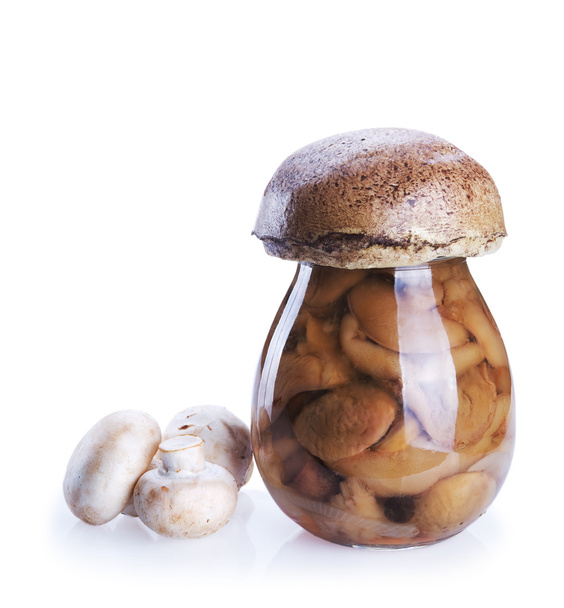 Mushrooms - Foto, imagen