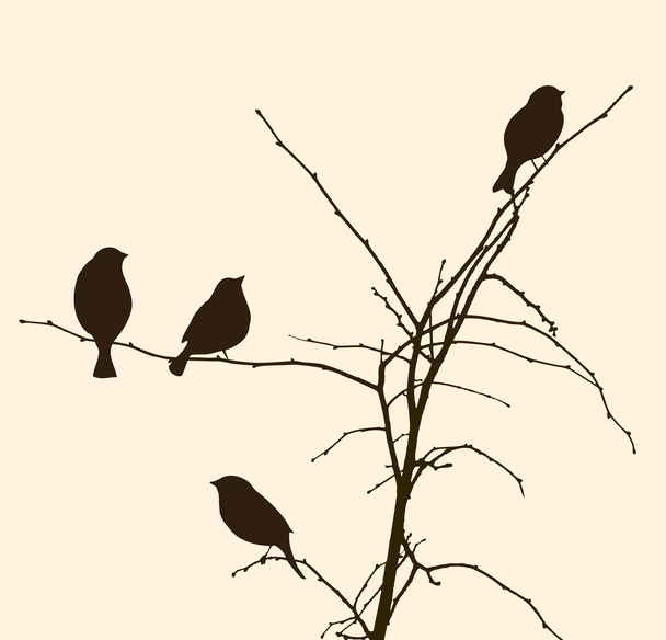 birds on the tree branches - Διάνυσμα, εικόνα