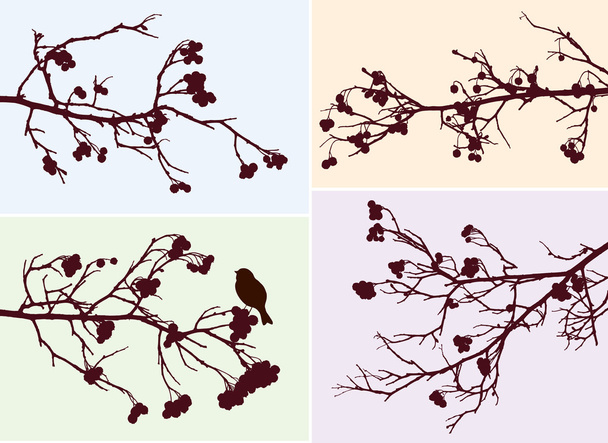 silhuetas de ramos de rowan
 - Vetor, Imagem