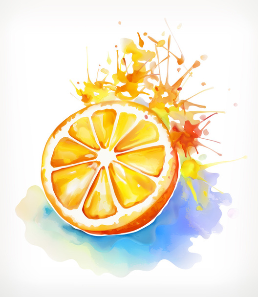 Aquarellmalerei saftig orange - Vektor, Bild