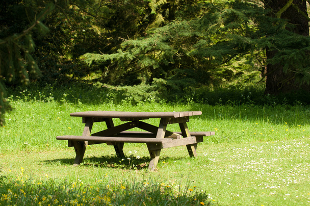 Piknik-pöytä aurinkoisessa metsänraivauksessa
 - Valokuva, kuva