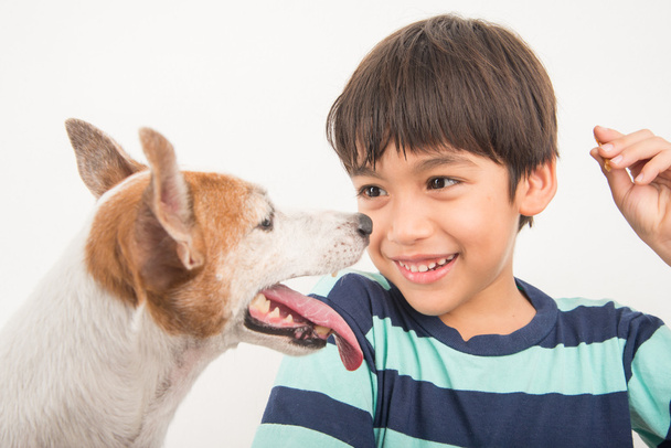 Little boy playing with his friend dog jack russel - Photo, Image