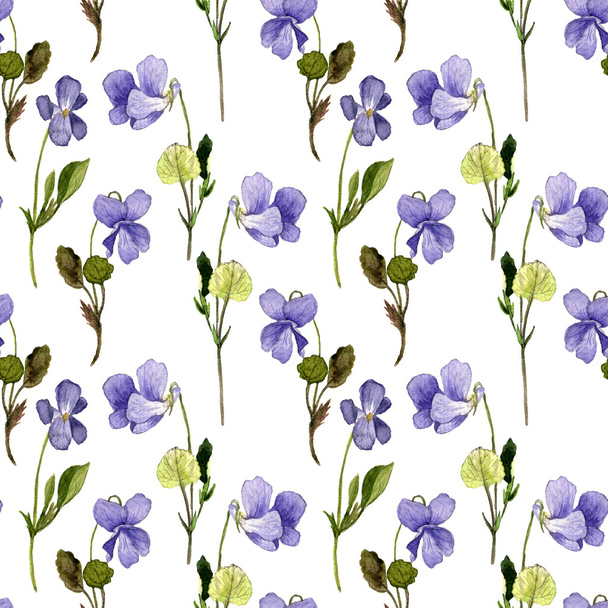 floral seamless pattern with wild flowers - Фото, изображение