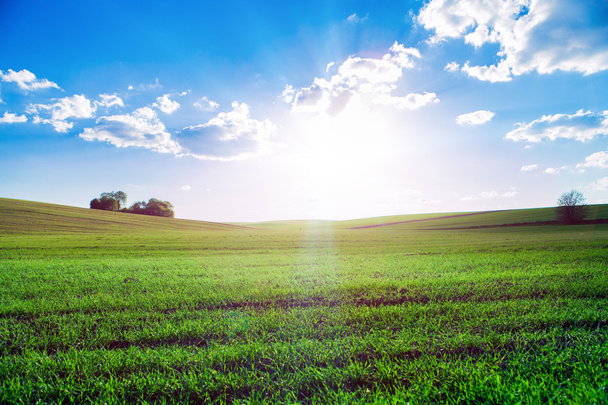 Zelené pole a krásný západ slunce - Fotografie, Obrázek