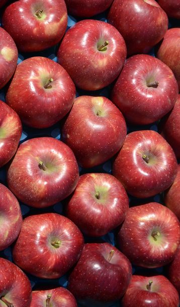 Olgun elma göstermek kasa Satılık - Fotoğraf, Görsel