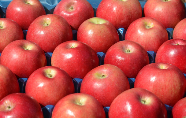 rijpe appels te koop in een krat weergeven - Foto, afbeelding