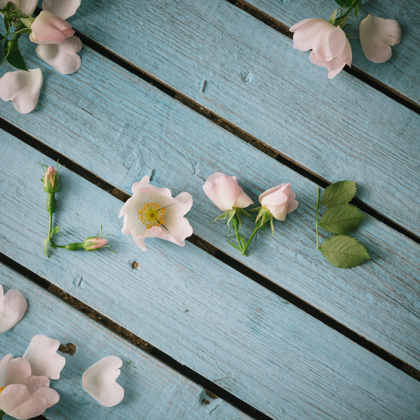 Kelime aşk beyaz çiçeklerden yapılmış  - Fotoğraf, Görsel