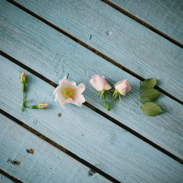Λέξη αγάπη από λευκά λουλούδια   - Φωτογραφία, εικόνα