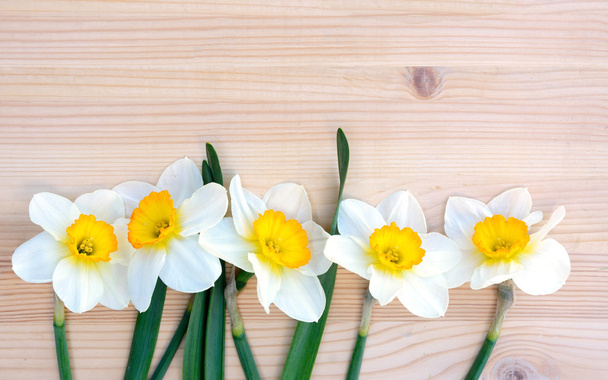 Φρέσκα daffodils ή Νάρκισσος λουλούδια σε φόντο ξύλινη. - Φωτογραφία, εικόνα